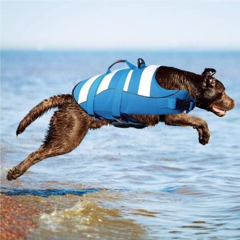 Life jackets for large dogs sales