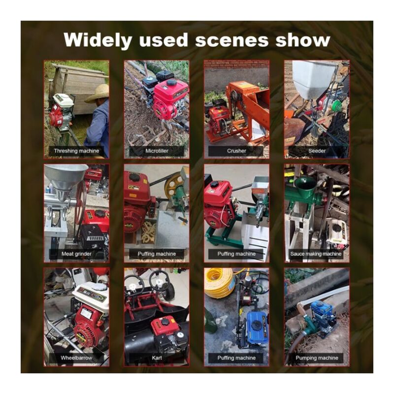 Motore A Benzina 4 Tempi 6,5 HP 168F OHV - Serbatoio 3,6 Litri, Avvio A Strappo, Basso Consumo