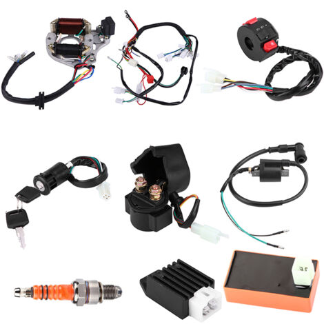 Riloer Kit Cablaggio Elettrico Completo CDI Statore – Per ATV QUAD 150/200/250CC, Dirt Bike E Go Kart, Con Bobina E Relè