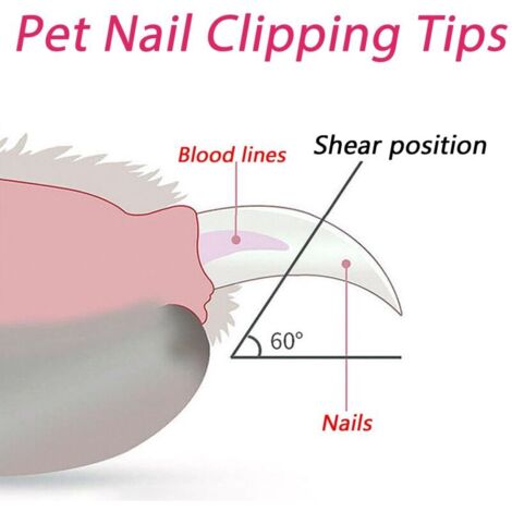 Präzisions-Nagelknipser Mit Spritzschutz – Ergonomischer Edelstahl-Nagelschneider Für Maniküre & Pediküre
