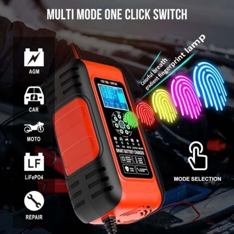 Caricabatteria Auto E Moto 12V 24V 10A 250W Automatico - Foto 9