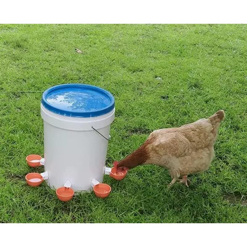 Chick Feeder And Waterer Kit, Plastic Automatic Baby Chicken Coop Feeding Equipment Set Quail Poultry Water Food Dispenser Containers For Chickens
