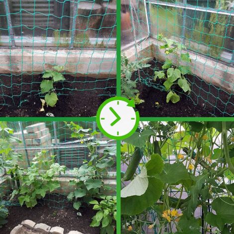 Planting Growing Net Rowing Net 1.8 x 2.7 m, Green Net for Climbing Plants in the Vegetable ...