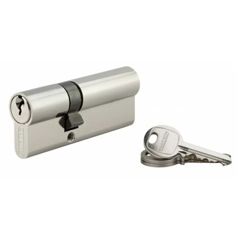 Cylindre de serrure double entrée SA, 30 x 50 mm, anti-arrachement, nickel, 3 clés - 1 pièce - THIRARD - 00016286