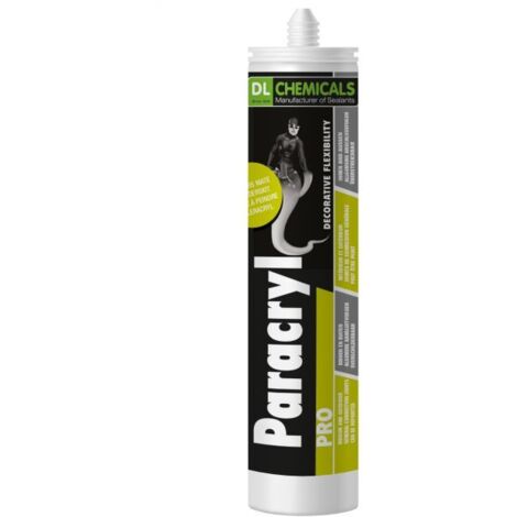 Paracryl Pro - DL CHEMICALS - gris 300ml - 100596