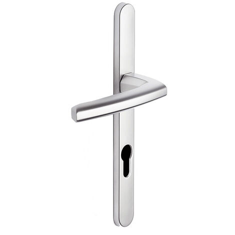 Ensemble sur plaque étroite 24 mm Scult Clé i BEZAULT platine - 204426 (1/3)