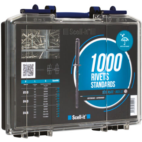 Coffret 1000 rivets standard tête plate SCELLIT - COFRIVINOX (1/4)