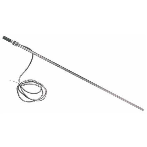 Sdmo – Piquet de terre galvanisé 1m pour liaison de masse groupe électrogène – Câble 2m 10mm² inclus – RPQ (1/3)