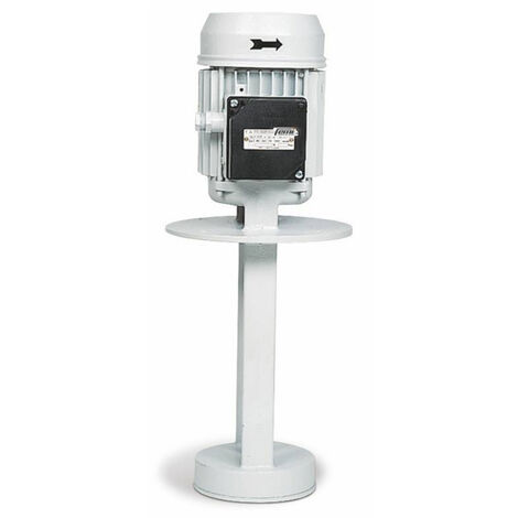 Electropompe centrifuge 223 FEMI 250W 400V 260 mm - 8381931 (1/2)
