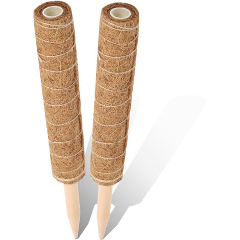 Supporto Per Piante Con Pali E Nastro - 12 Pezzi Per Fiori Fragili Come Rose, Peonie E Amarilli - Foto 3