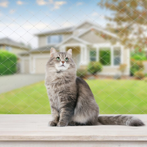 Rete Per Gatti Balcone 4x3 Metri - Maglie 2.5x2.5 Cm Con Corda E Ganci Per Finestre E Terrazzi - Foto 5