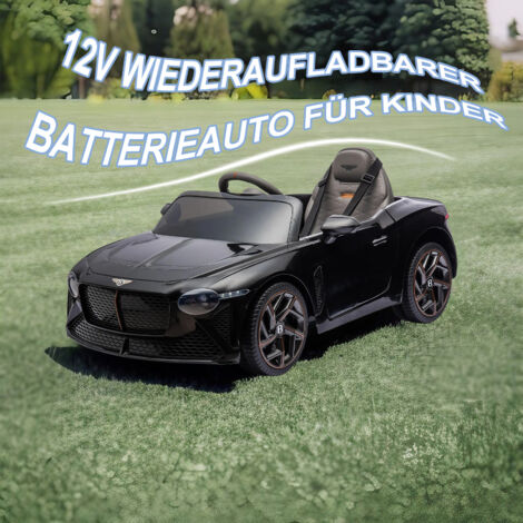 CREEK EVOLUTION AMPLIFICATORE Integrato Con Telecomando, Manuale E Cavo Di Alimentazione EUR 1 - Foto 3