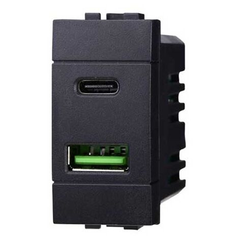 Chargeur avec 2 prises USB Type-A + Type-C compatible Bticino Livinglight 5Vdc 3.1A couleur noir
