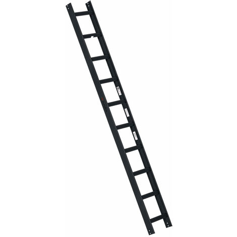 Euroline Premium Kaminkehrerleiter 10 Sprossen RAL7016 Anthrazit