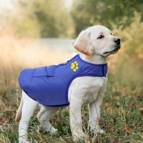 Winter-Hundemantel Mit Leinenring – Warme Jacke Für Kleine Hunde & Katzen, Größe XS, Blau/dunkelblau