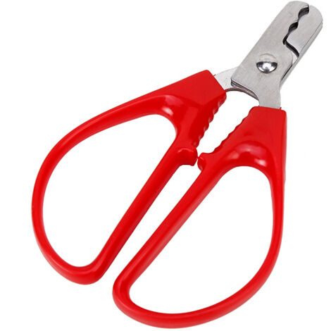 Nussknacker Nussschalenknacker Samen Sonnenblumenkerne Schälen Pistazien Haushaltsschälzange Metall Nussöffner Küchenwerkzeug, Öffnung Peeling Melonenkernzange (1/5)