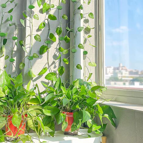 blumenkasten balkon verstellbar Liva Schwarz Balkonblumenkasten mit Bewsserungssystem 60 / 80 / 100 c   Balconyliving.de