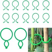 Garten-Pflanzenbinder-Pflanzenstützklammern mit Verschluss, 50 Stück wiederverwendbare Kunststoff-Tomatenklammerklammern, langlebige gedrehte Orchideenpfähle unterstützen Kletterpflanzen (4 cm x 2,7 c
