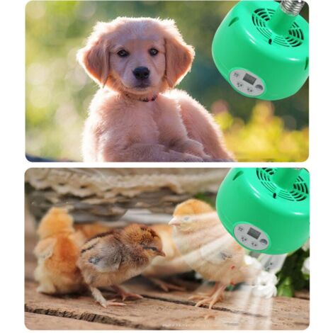 Calentador Solar Portátil Para Gallinero Y Casa De Mascotas - Energía Solar, Diseño Ligero. Ideal Para Invernaderos Pequeños Y Exteriores.
