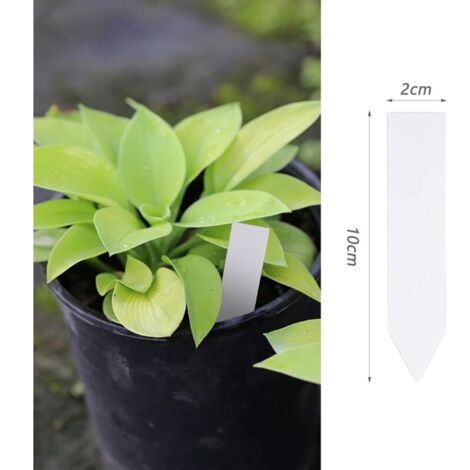 1000 Etichette Per Piante Da Giardino In PVC, 10 Pollici, Impermeabili E Riutilizzabili Con Penna Inclusa (Blu)