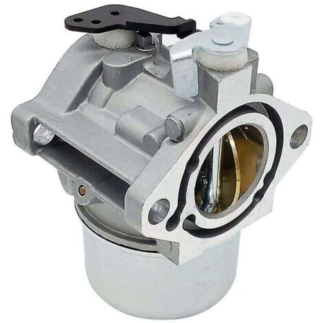Carburatore Completo Di Filtro Aria Per Motore Briggs & Stratton 12.5 CV Modello 28V707-1113-E | Gartenzube