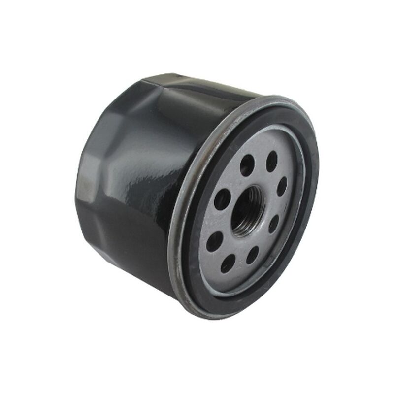 Filtre à huile autoportée moteur Briggs et stratton - 798576, 795137