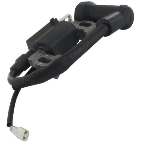 Bobine pour moteur Loncin LC1P65FE-2 et V200