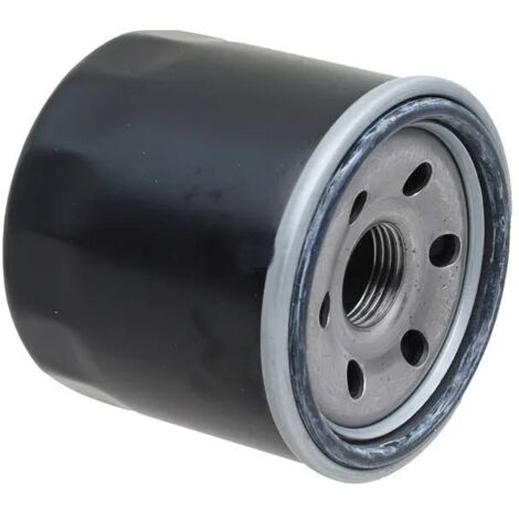 Filtre à huile moteur autoportée Stiga origine - 118551566/0