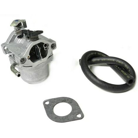Briggs & Stratton – Carburateur Nikki pour moteur Briggs et Stratton 13.5cv – Compatible série 217707 – Installation facile et fonctionnement fiable