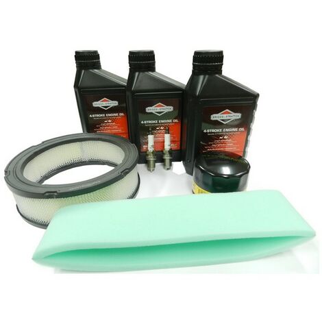 Kit entretien moteur Briggs & Stratton filtre rond 992240 (1/3)