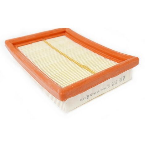 Filtre LOMBARDINI 2175172 (1/5)