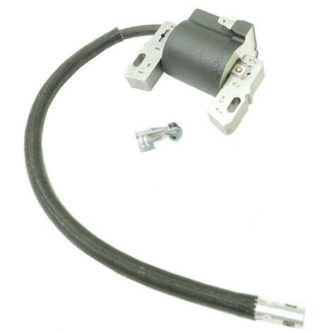Bobine allumage Briggs et Stratton 595304 (1/4)