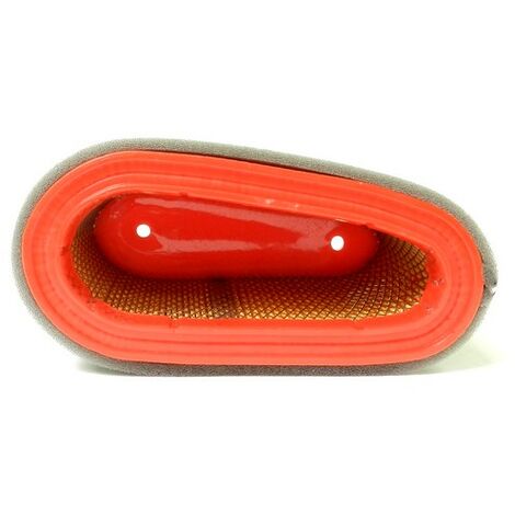 AISEN Filtre à air pré-filtre avec bougie d'allumage, compatible avec tondeuse à gazon Einhell RPM 51S GM 51-Z BG-PM51S
