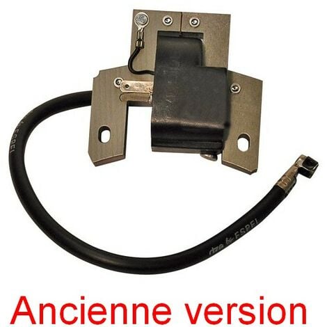 Bobine électronique moteur Briggs et Stratton - 590454