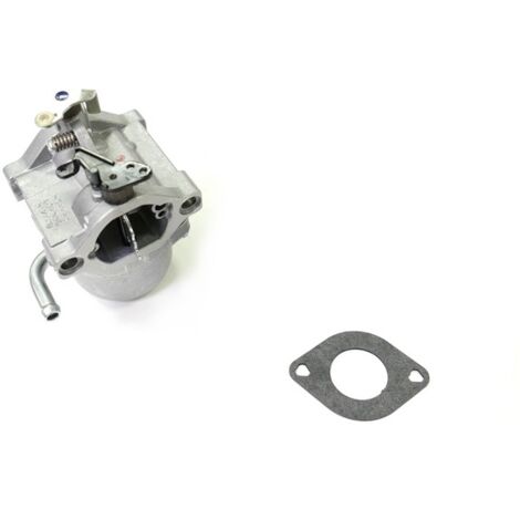 Carburateur moteur Briggs et Stratton 590399 (1/6)