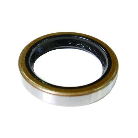 Joint Spi moteur Tecumseh OV358EA-206904F, TVM220, OHV130