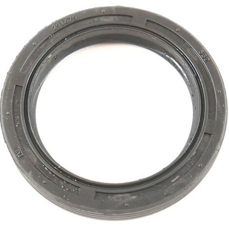 Briggs & Stratton – Joint Spi moteur tracteur tondeuse – Étanchéité optimale – Compatible modèle 289707-0154-01 – Référence d'origine constructeur
