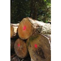 Bombe peinture forestiere rouge Fluomarker