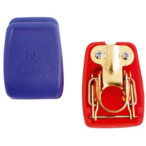 Coppia Morsetti Batteria per Auto Modello Standard Positivo e Negativo - C70030