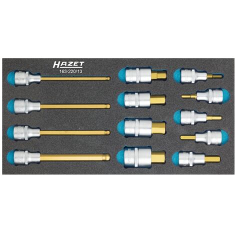 Hazet Werkzeugmodul 163-220/13 13-teilig - 163-220/13 (1/5)