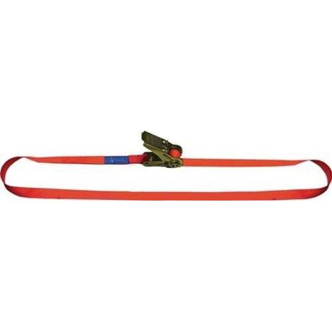 Dolezych Zurrgurt DIN EN 12195-2 Länge 6 m Breite 25 mm - 16250700