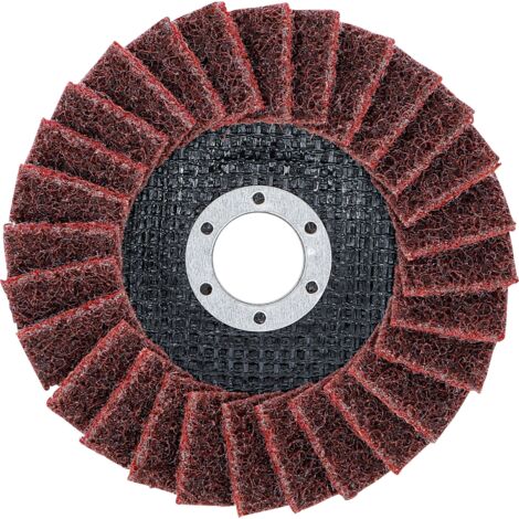 BGS 74474 Fächer-Schleif-Scheibe Vlies Ø125mm K120  Körnung 120 (1/4)