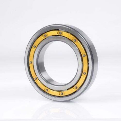 SCHKG 7304 BMPUA ID 20mm AD 52mm Breite15mm FAG (1/2)