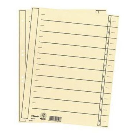 Esselte 621017 Trennblatt Karton - A4 Überbreite - Chamois - 100 Stück (1/3)