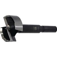 FISCH Forstnerbohrer Black Shark Ø 25 mm 90 mm - 031BS02500