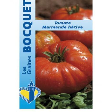 Tomate de Marmande le sachet de 600 graines (2g) (1/2)