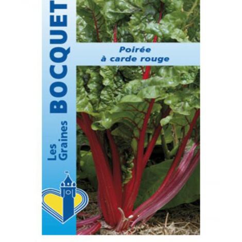Poirée vulgais le sachet de 250 graines (6g) (1/2)