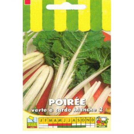 Poirée 'Verte à carde blan le sachet de 250 graines (6g) (1/2)