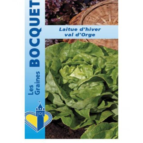 Laitue d'hiver 'Val d'Orge' le sachet de 2500 graines (3g) (1/2)