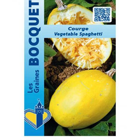 Courgette spaghetti le sachet de 12 15 graines (2g) (1/2)